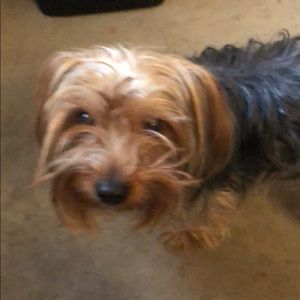 Meet your Posher, John